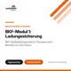 BKF-Modul 1: Ladungssicherung (LKW)